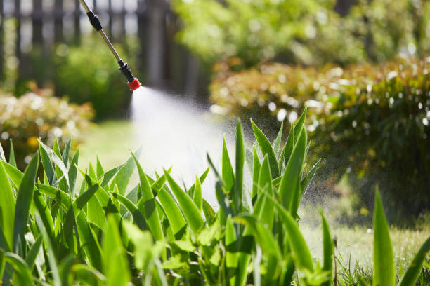 24/7 Emergency Termite Control experts in Palo Cedro, CA