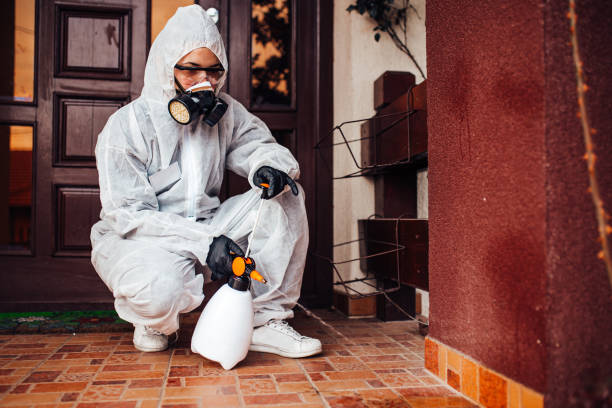 Reliable Termite Control contractor in Palo Cedro, CA by Nex Pest Control